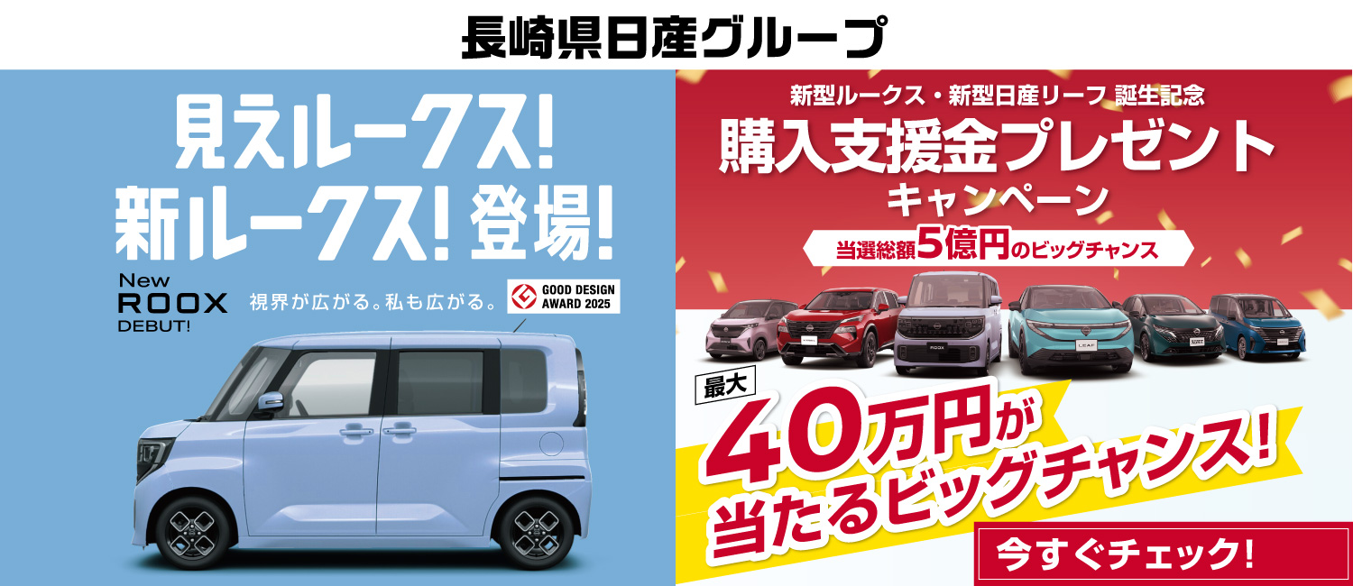 11月のお買得情報